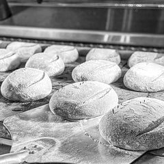 Collection image for: Brood