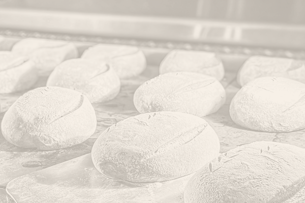 <h3>Brood zoals brood bedoeld is.</h3>