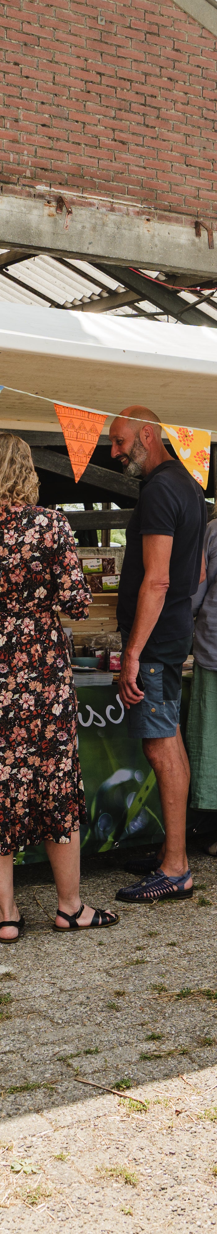 <h2>Ruimzicht op de Melkweg</h2>