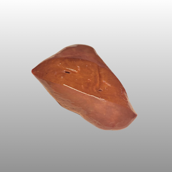 Biodynamische runderlever, rijk aan voedingsstoffen en ideaal om te bakken